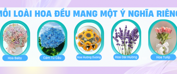 Ý nghĩa của từng loài hoa trong sản phẩm hoa khô thủy tinh &amp; Đèn Resin